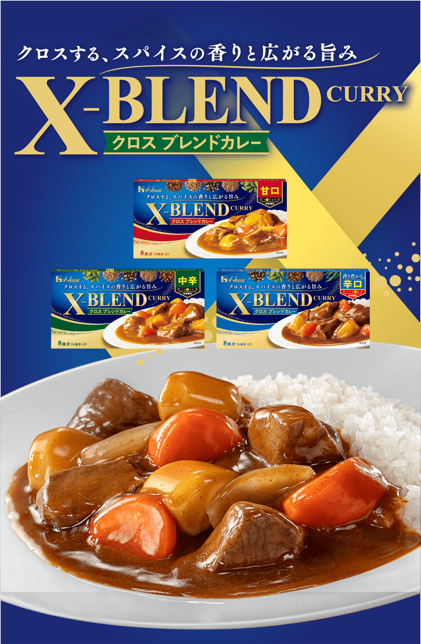 クロスする、スパイスの香りと広がる旨み X-BLENDCURRY クロスブレンドカレー