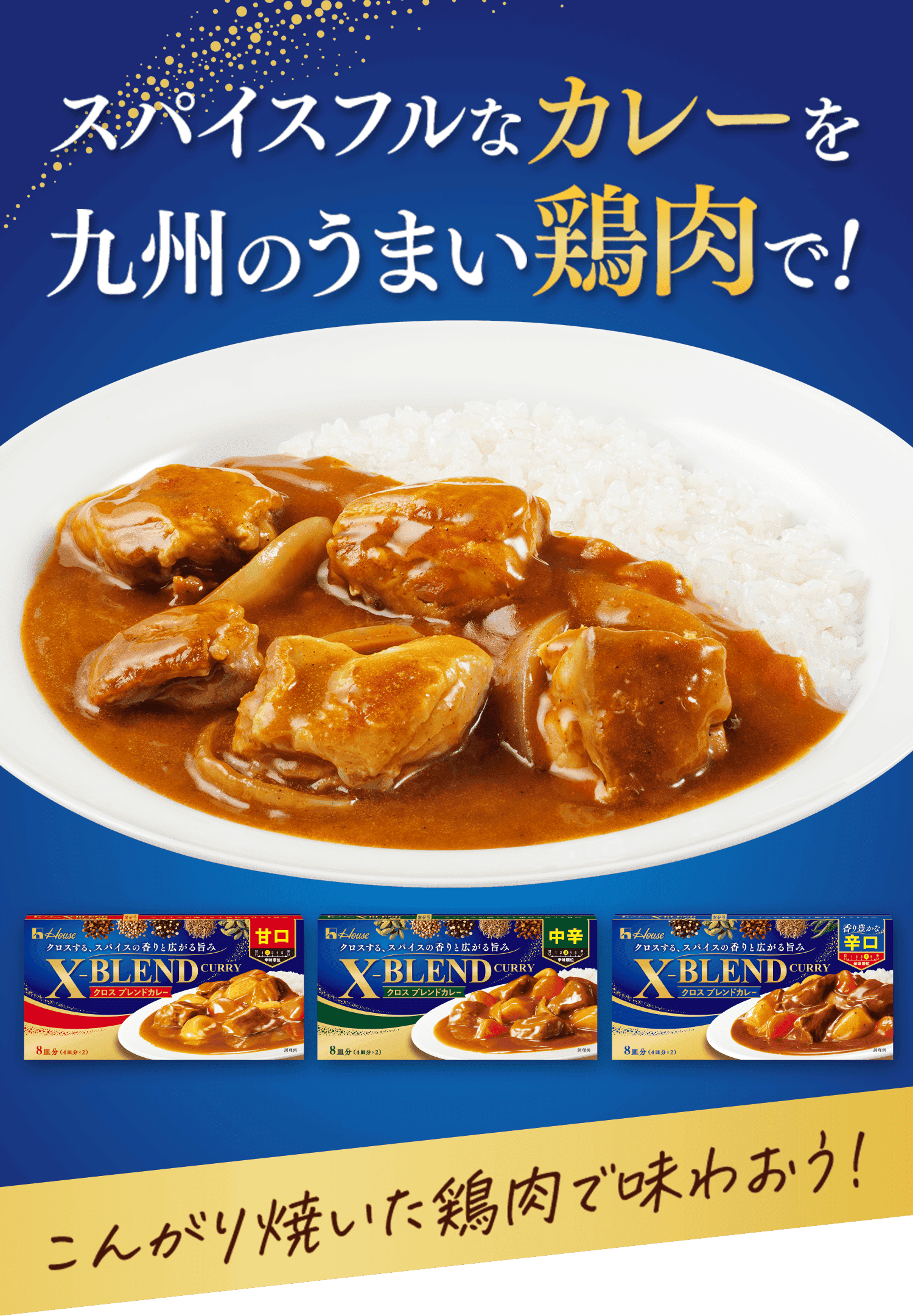 スパイスフルなカレーを九州のうまい鶏肉で! こんがり焼いた鶏肉で味わおう!