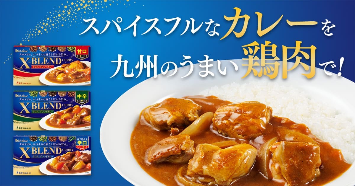 九州エリア特設サイト | X-BLEND CURRY（クロスブレンドカレー