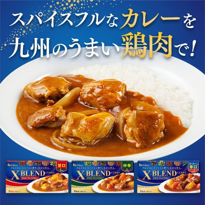 スパイスフルなカレーを九州のうまい鶏肉で!