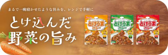 ハウスのレトルトカレー | ハウス食品