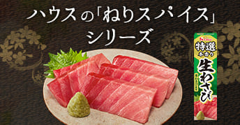 ねりスパイス